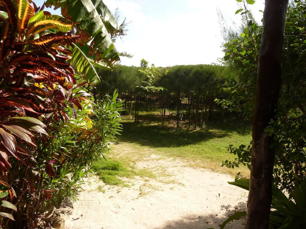 Hotel Rancho Sakol Puerto Morelos Zewnętrze zdjęcie
