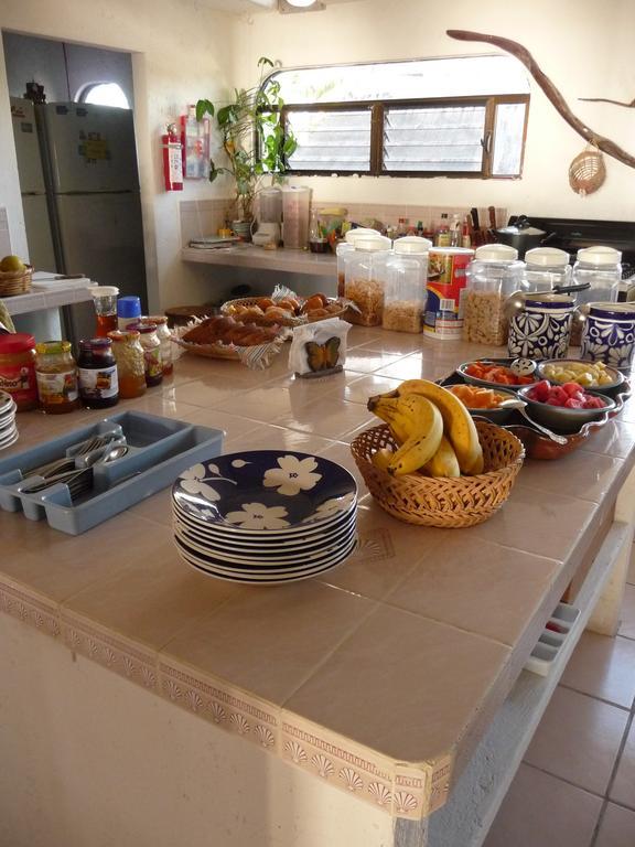 Hotel Rancho Sakol Puerto Morelos Zewnętrze zdjęcie